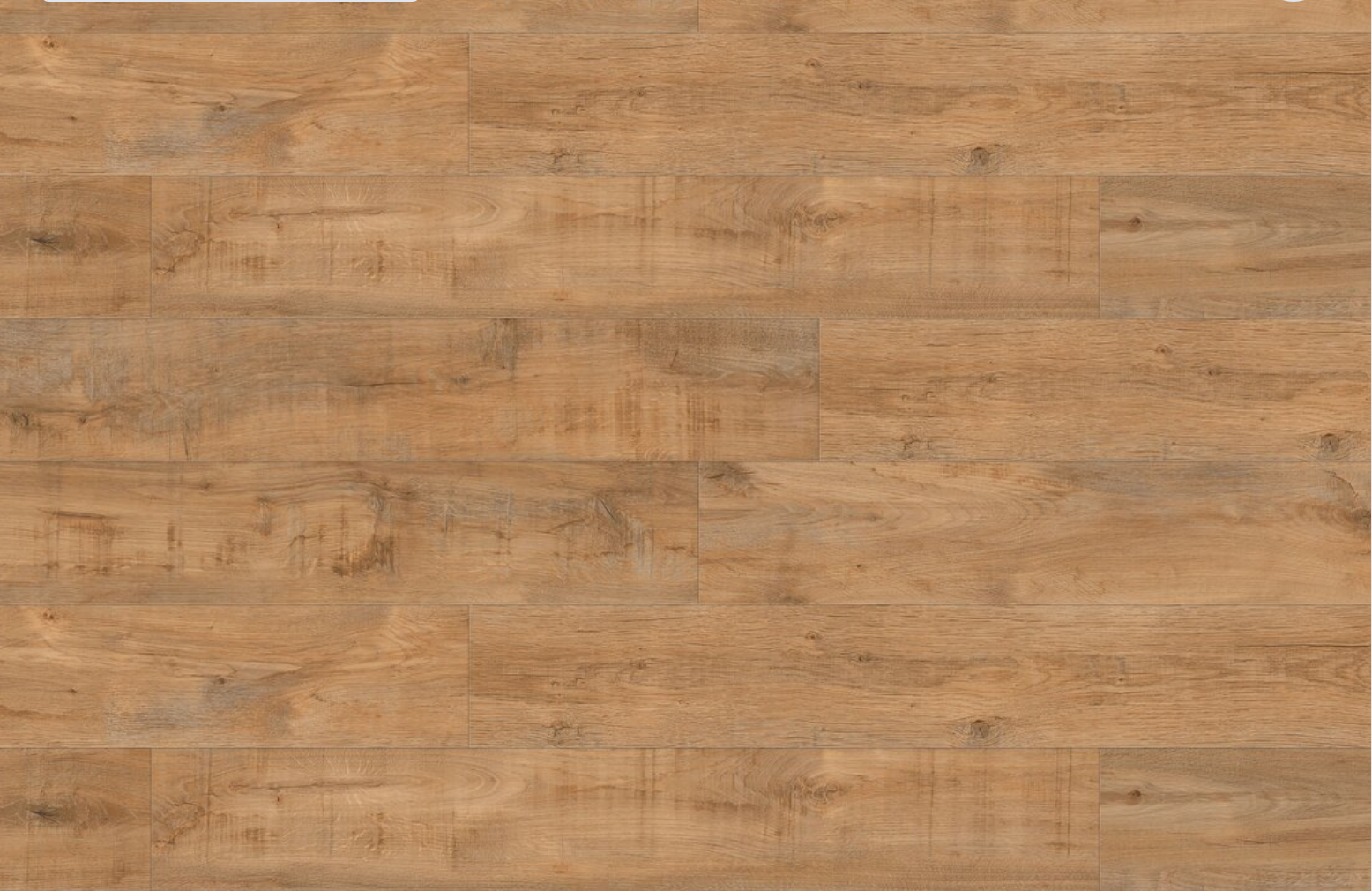Panele winylowe Gerflor 55 click SAVAGE OAK HONEY 1709